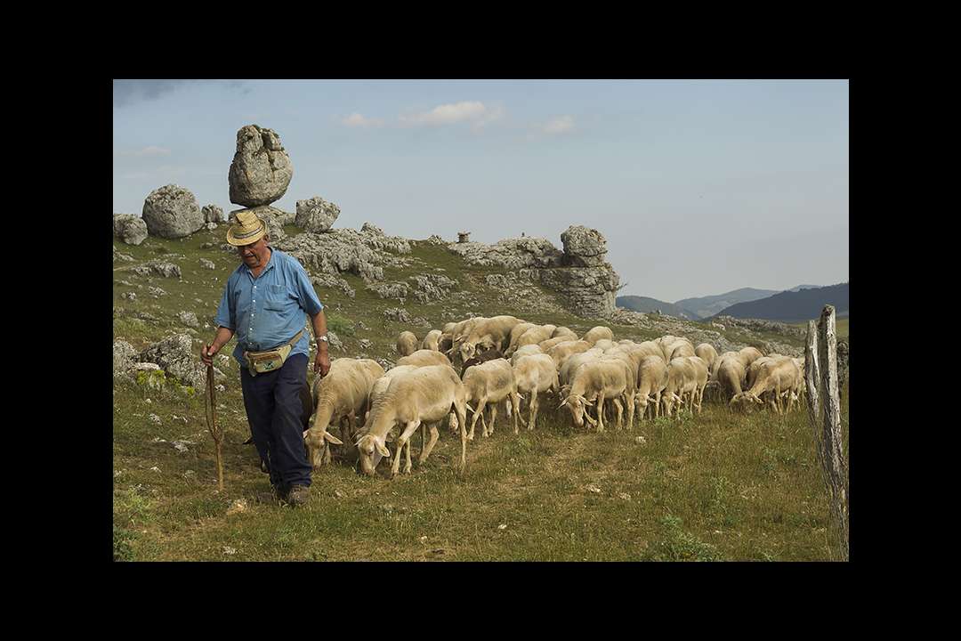Pastoralisme Pastoralisme